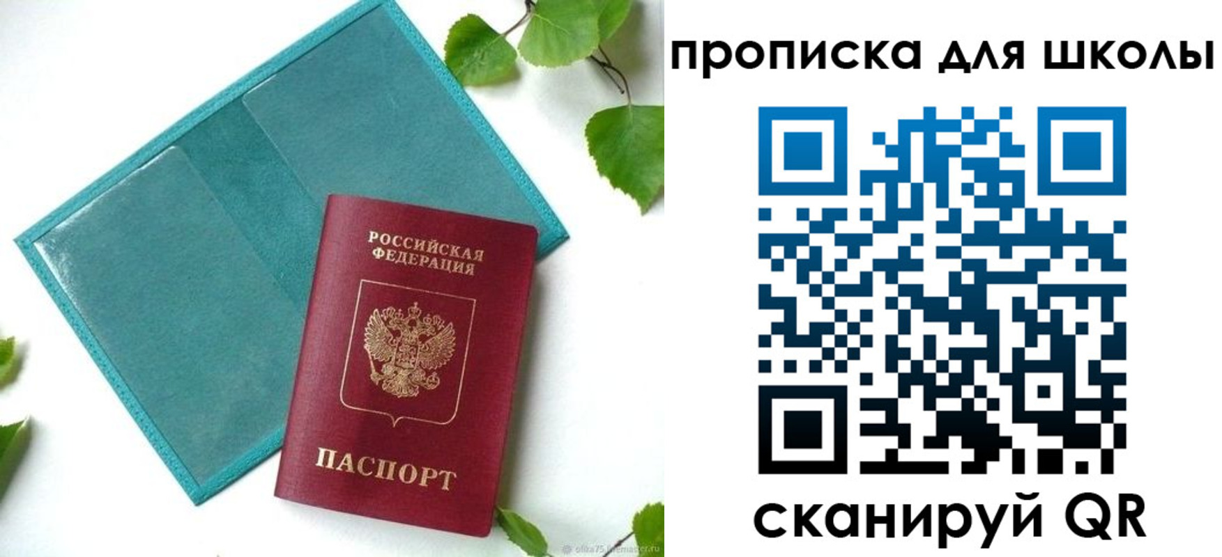 прописка в Николаевске